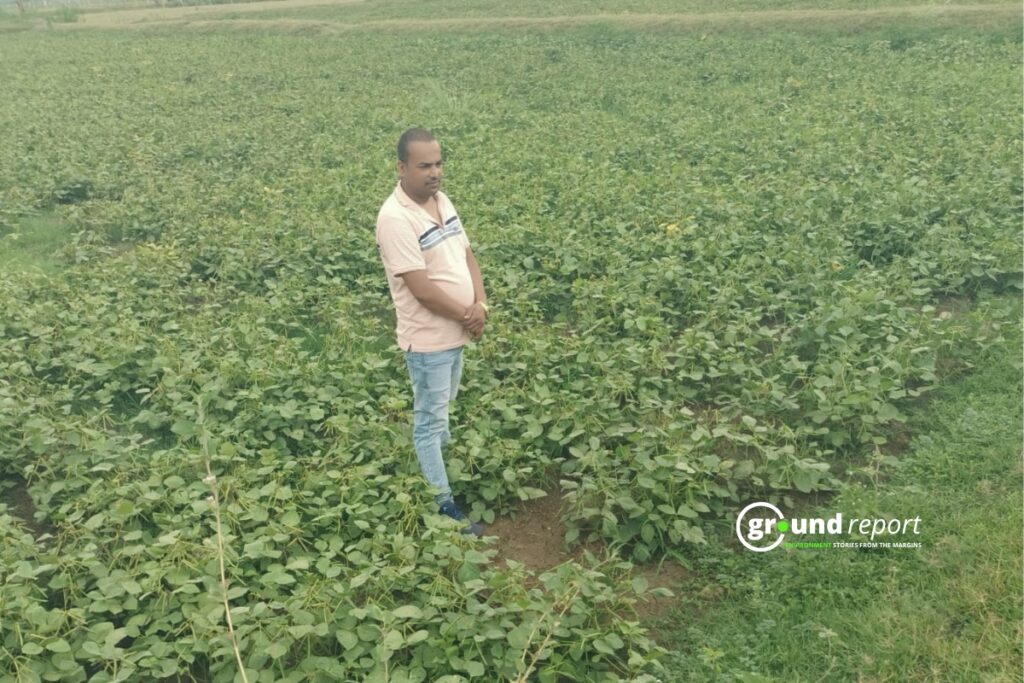 Amar Singh Patel is in his field in Bamnahadi village, Ramnagar Tehsil | Photo by Special Arrangement