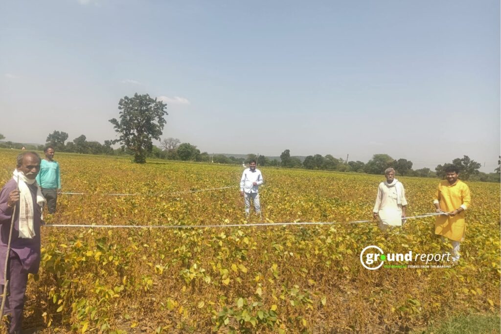 Patwaris marking fields for crop-cutting experiment | Photo by Special Arrangement
