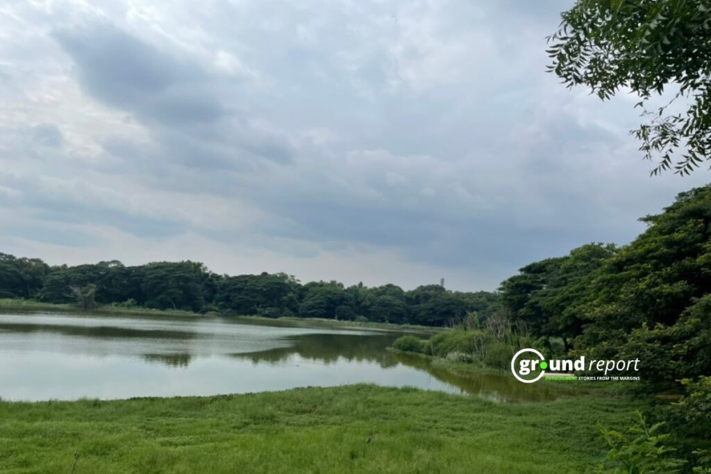 A lake and wetland patch in Bangalore, the kind of urban green space increasingly squeezed by expansion, Photo by Wahid Bhat