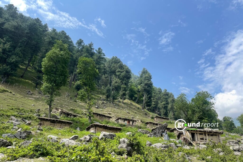 Wooden huts, likely used by pastoral herding communities, sit on a forested hillside in Kashmir