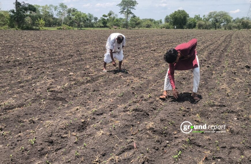 Farmers in MP Facing Drought like conditions