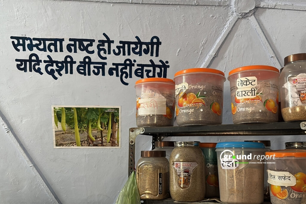 Desi Beej story Jhabua 3