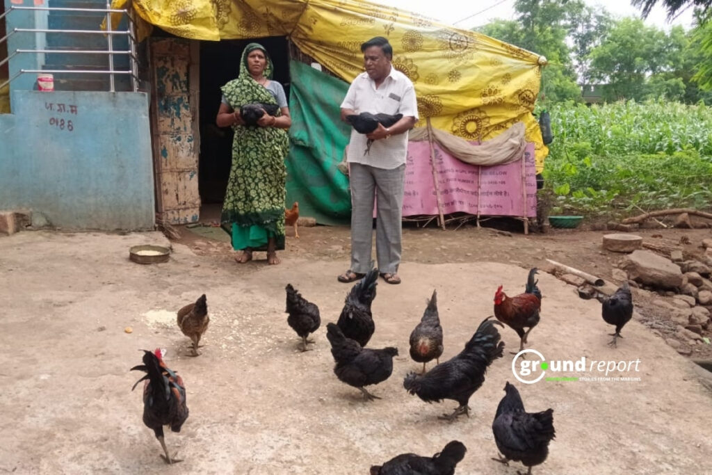Kadaknath Farm owner Jhabua