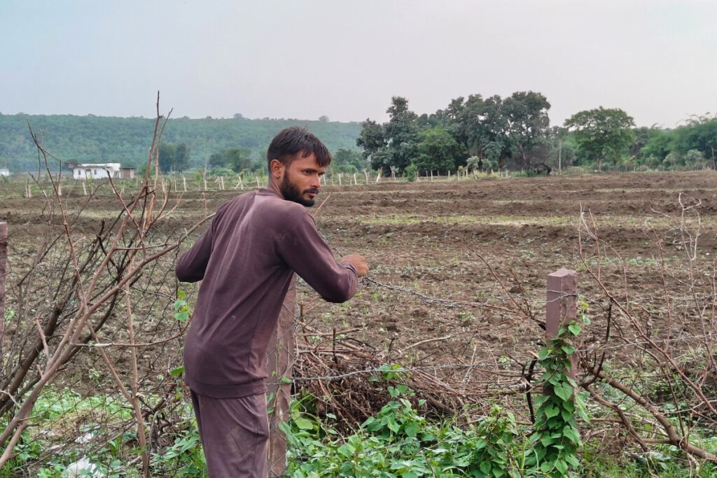 अमोनी गांव के ही 29 वर्षीय कमलेश जुलाई 19 जुलाई तक 3एकड़ में धान की बुवाई की तैयारी कर रहे हैं | फोटो: सनव्वर शफी