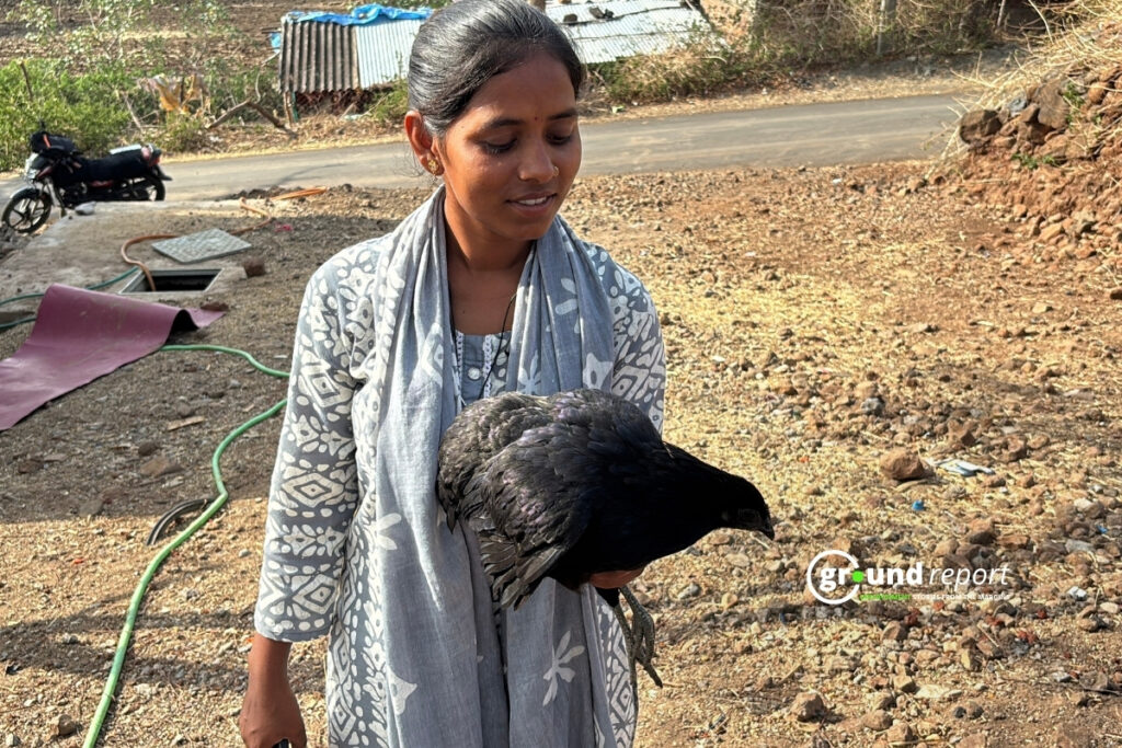Kadaknath pashu sakhi in Jhabua