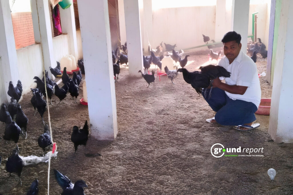 Kadaknath farms in Jhabua