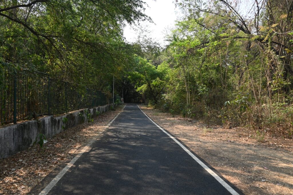 A Shaded Road Cuts Through Dense Tree Cover On The NEERI Campus In Nagpur | Photo by