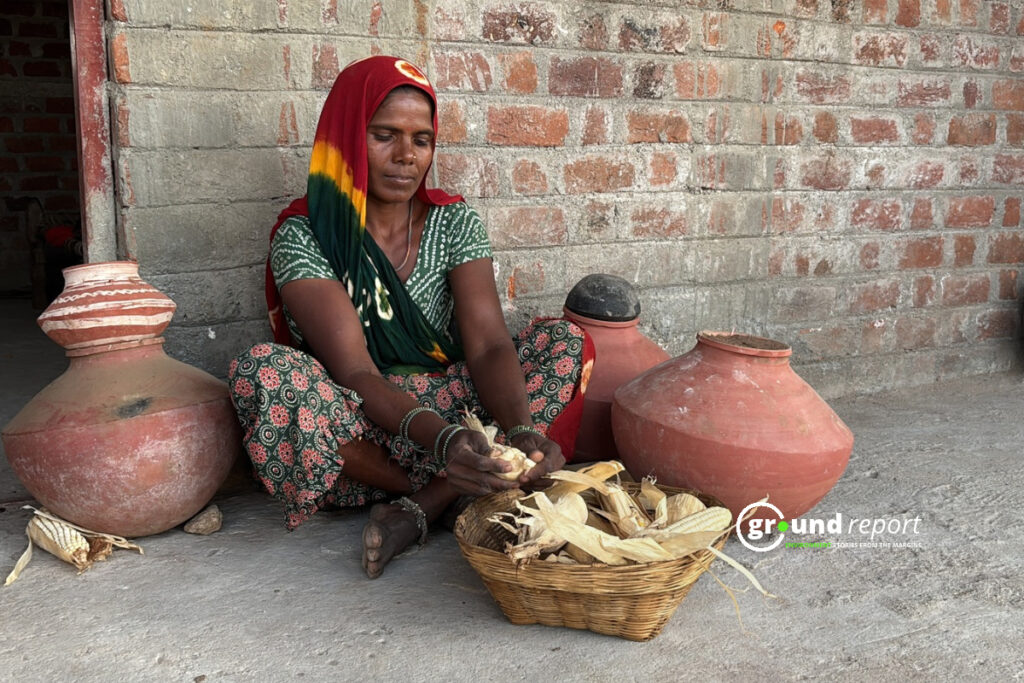 Jhabua Desi Seed Women Story