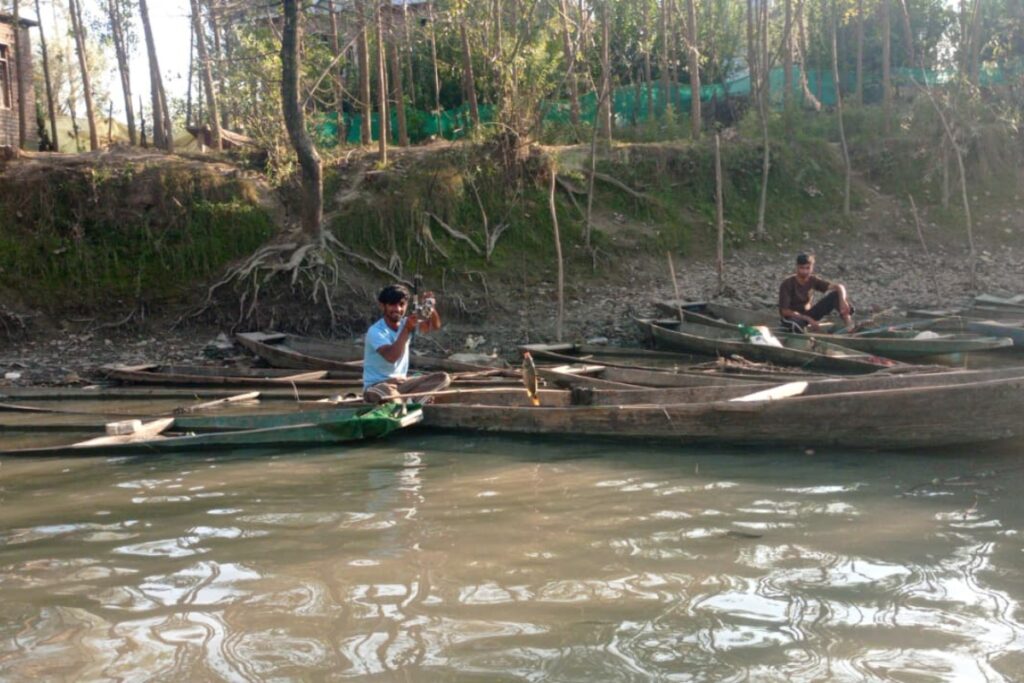 A Fisherman Pulls a Net From His Boat in Wular Lake. Fishing Families Say Falling Fish Catches Have Made It Harder to Earn a Living