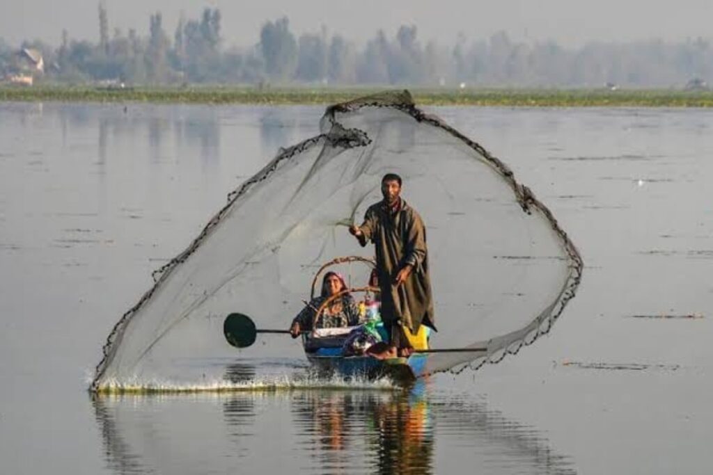 A Fisherman Pulls a Net From His Boat in Wular Lake