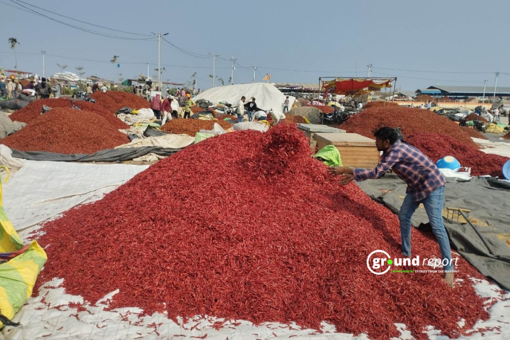 chilli market bediya mirch mandi khargone