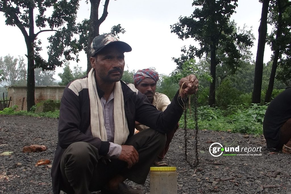 ग्रामीण कुछ इस तरह साल बोरर की माला बनाते हैं जिसका उनका 2 रुपए प्रति कीड़ा भुगतान होता है | फोटो: चंद्र प्रताप तिवारी
