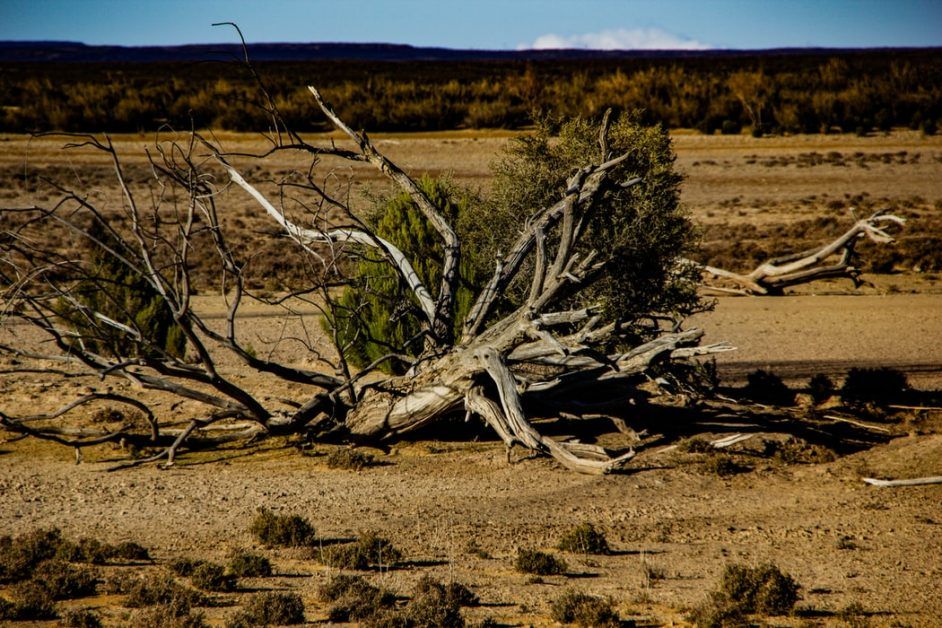 Climate change; Drought has affected India in the last 20 years