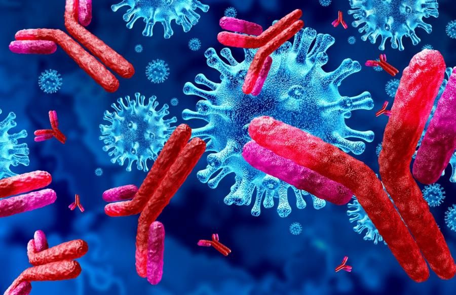 Covid-19: 70,000 infected, less than 1 million active cases found in India