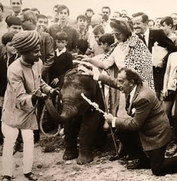 When Air India gifted baby elephant to Spanish artist for designing ashtray