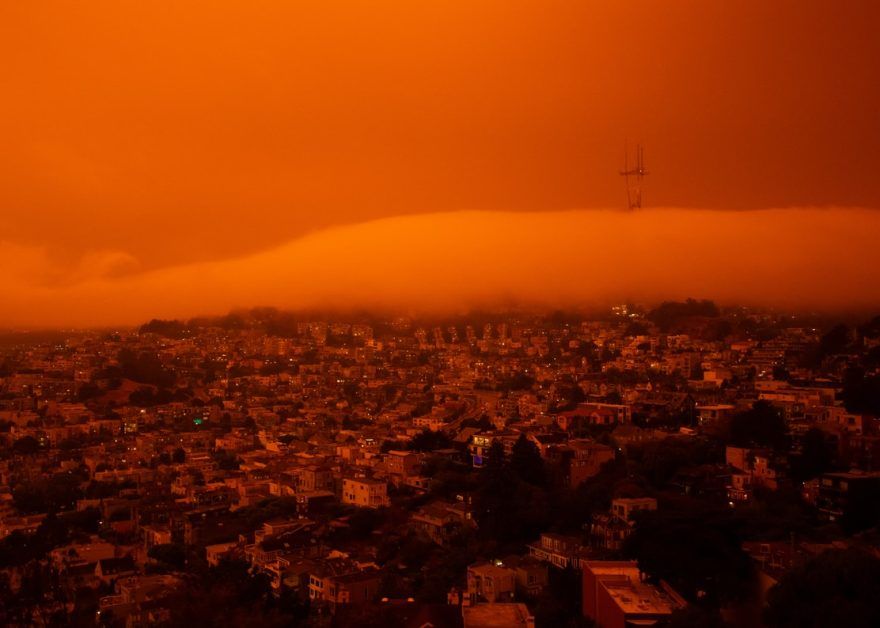 Global warming increases disease: 'Our direction is wrong'