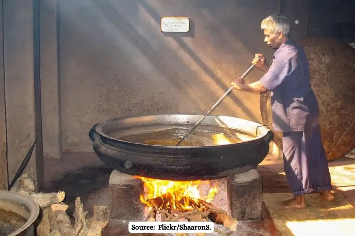 No More Sages: Youngsters in Ayurveda