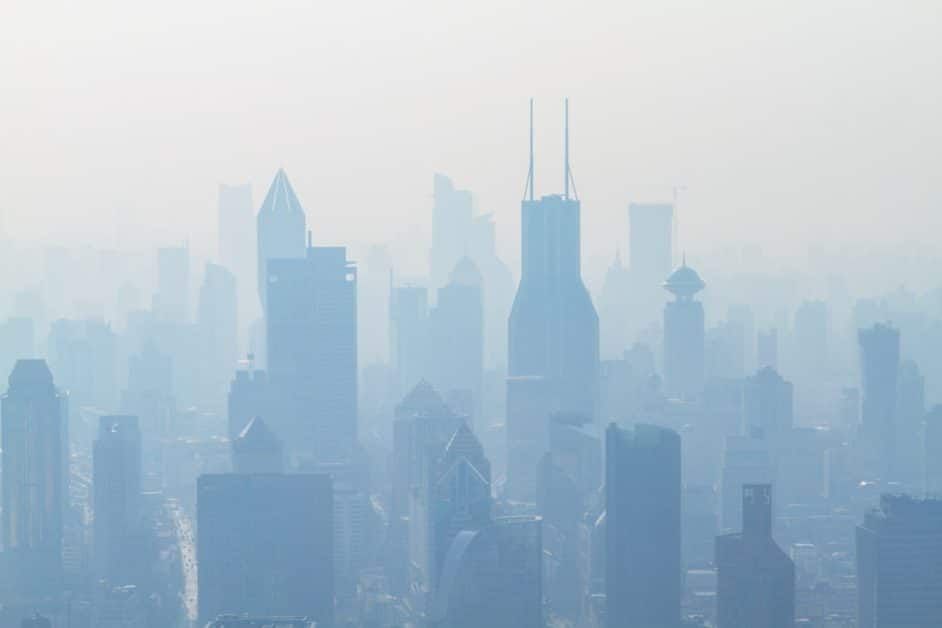 How does noise pollution affect the health of plants?