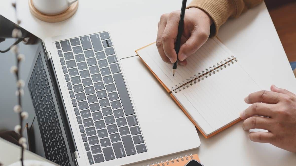 How to structure an essay? A writing guide