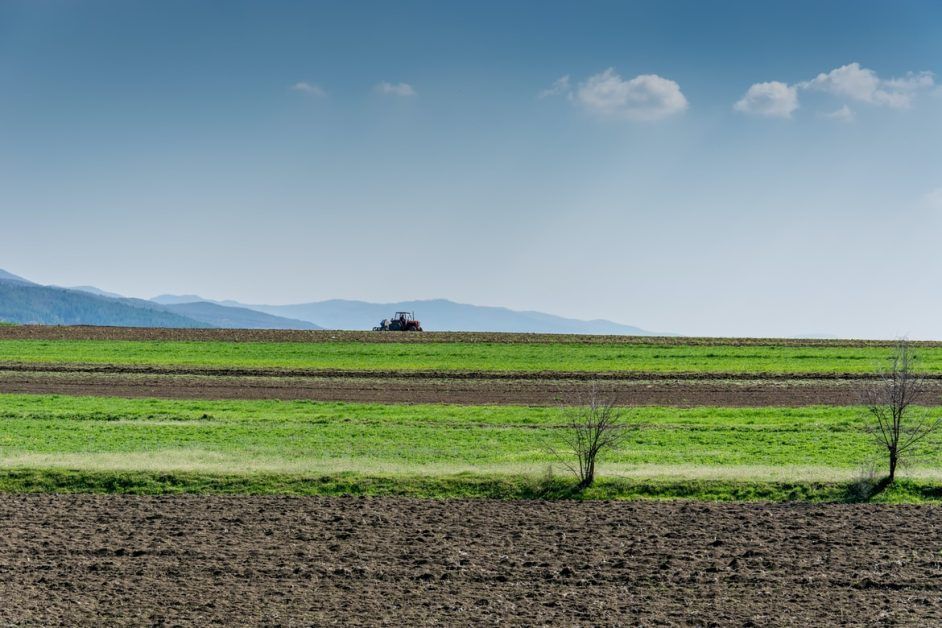 10 States Highly Dependent on Agriculture