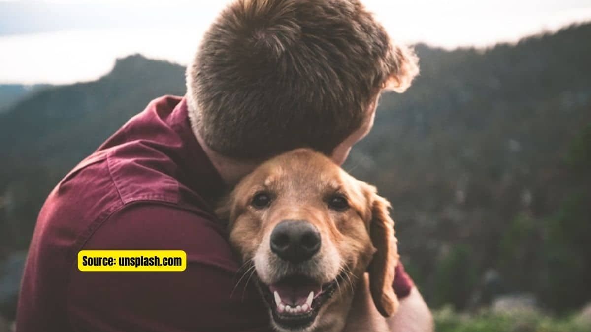 5 Major Points On How to Improve Your Dog's Health