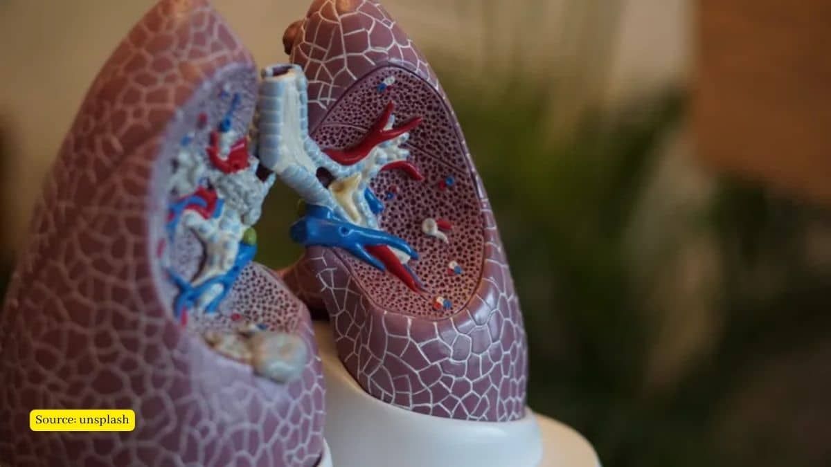 Scientists found  plastics in human lungs
