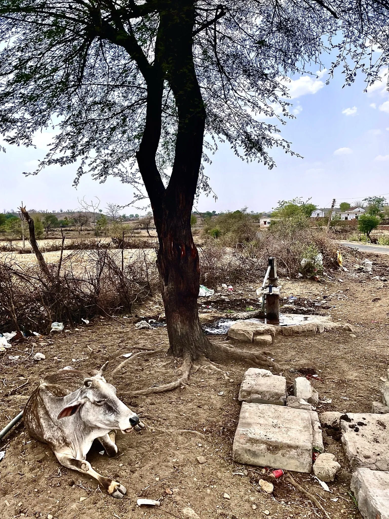 bundelkhand water crisis