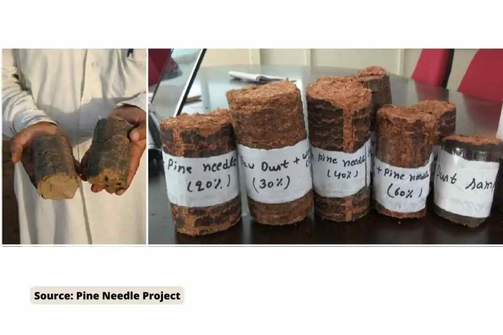 pine needles as a fuel