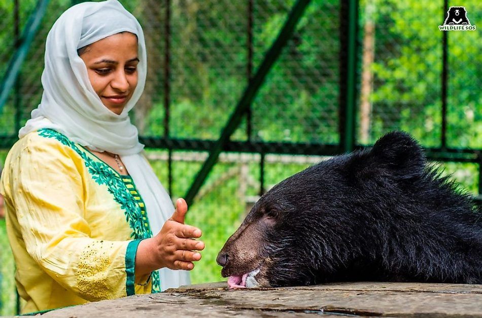Aaliya Mir from Kashmir saving wildlife