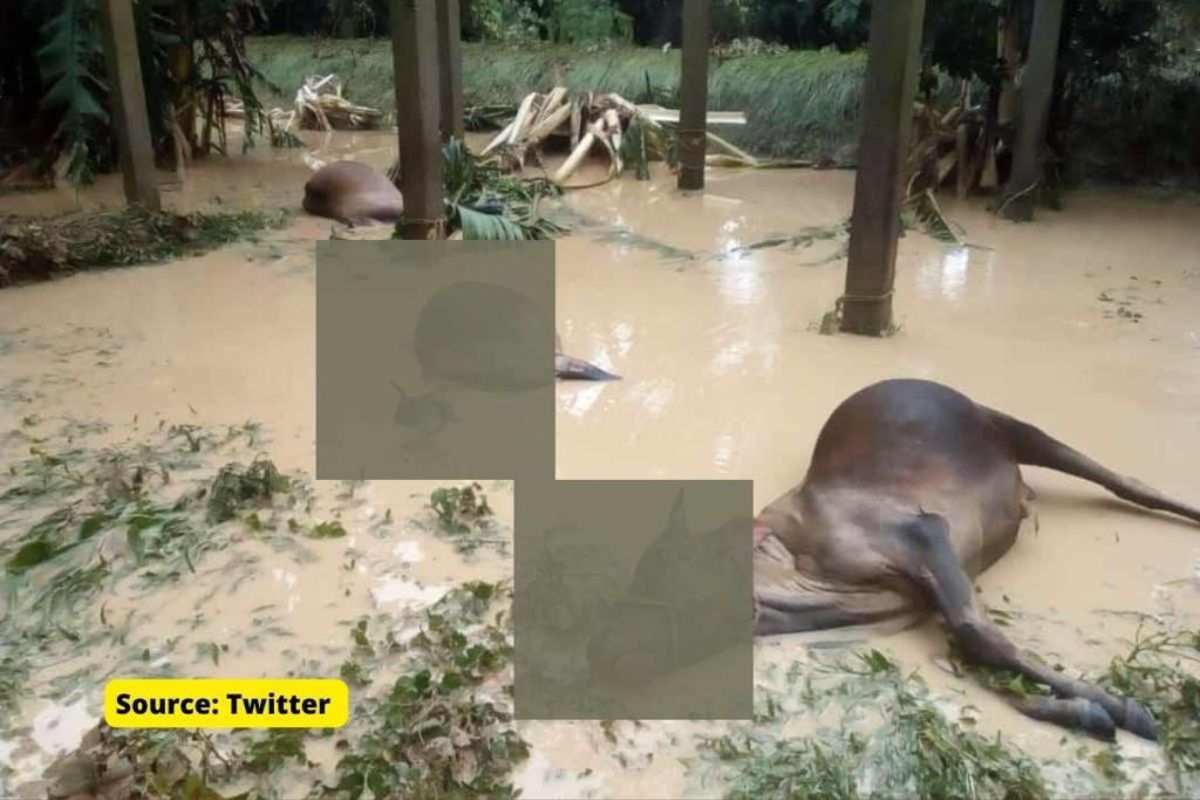 What is happening in Garo Hills Meghalaya, Why media not showing it?