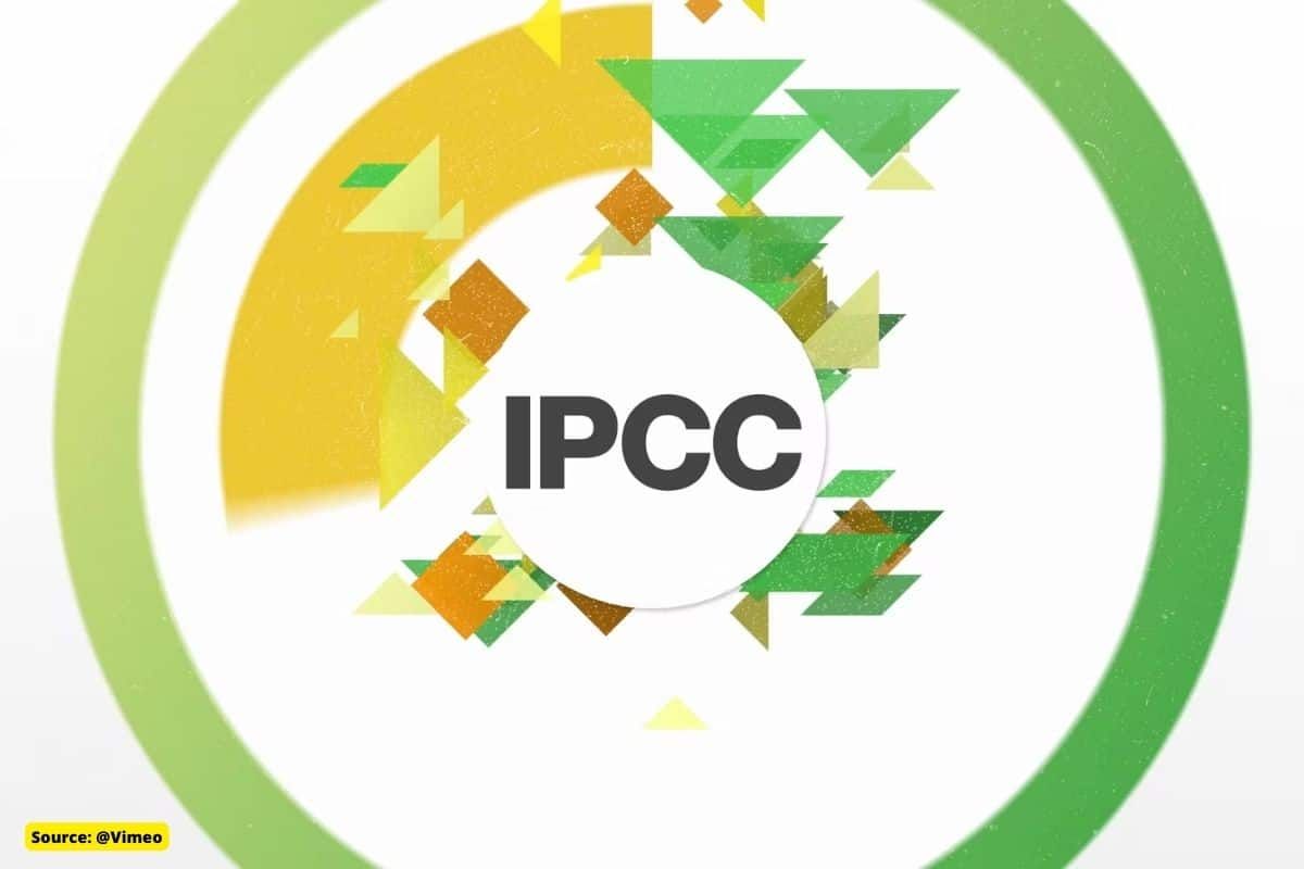 What is the IPCC and why should we care about its reports?