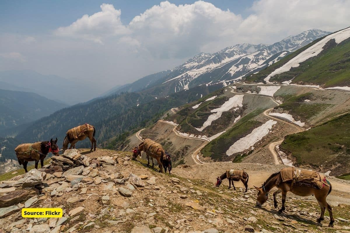 Climate Change: Impact of Untimely Snowfall on Nomads of Kashmir