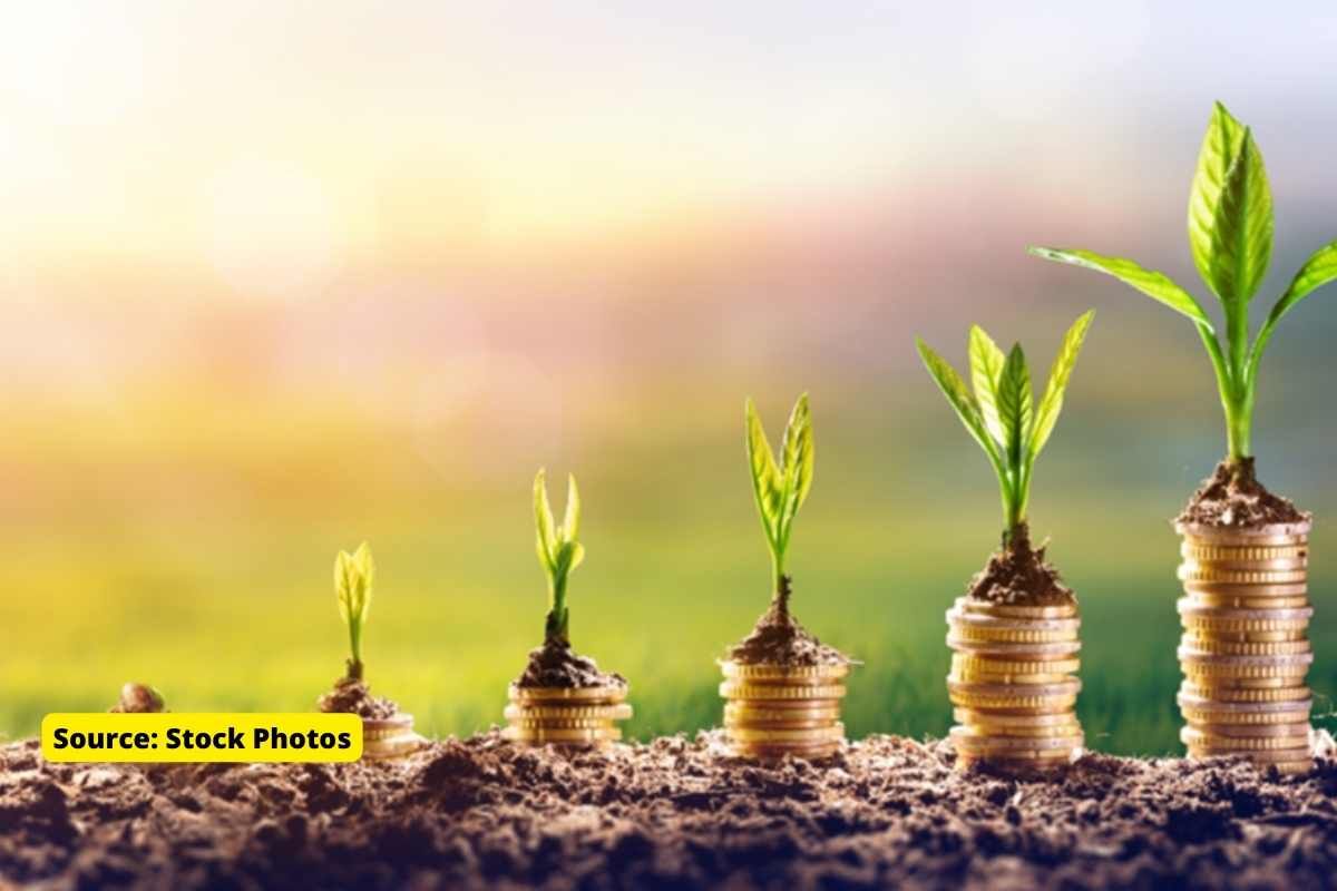 Best Investment Plans in India that Should be a Part of your Portfolio