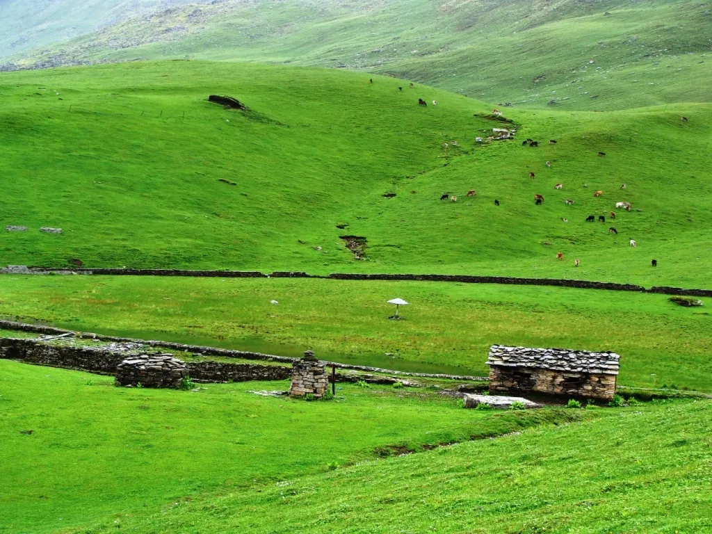 Bedini Bugyal Uttarakhand