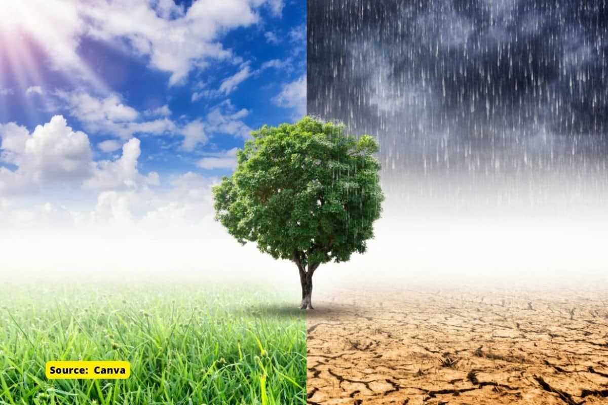How these 15 districts of Assam are most vulnerable to Climate Change?