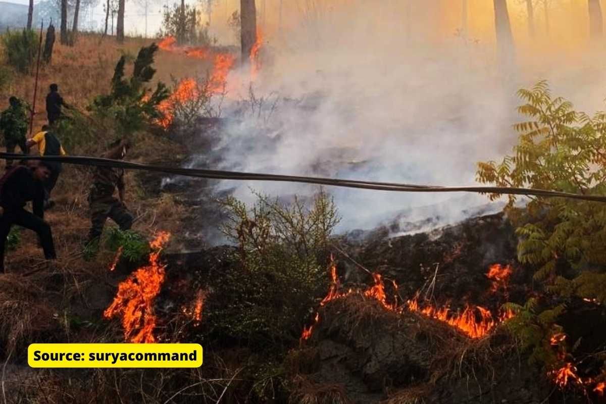 Poor air quality is punished by heat and fires 