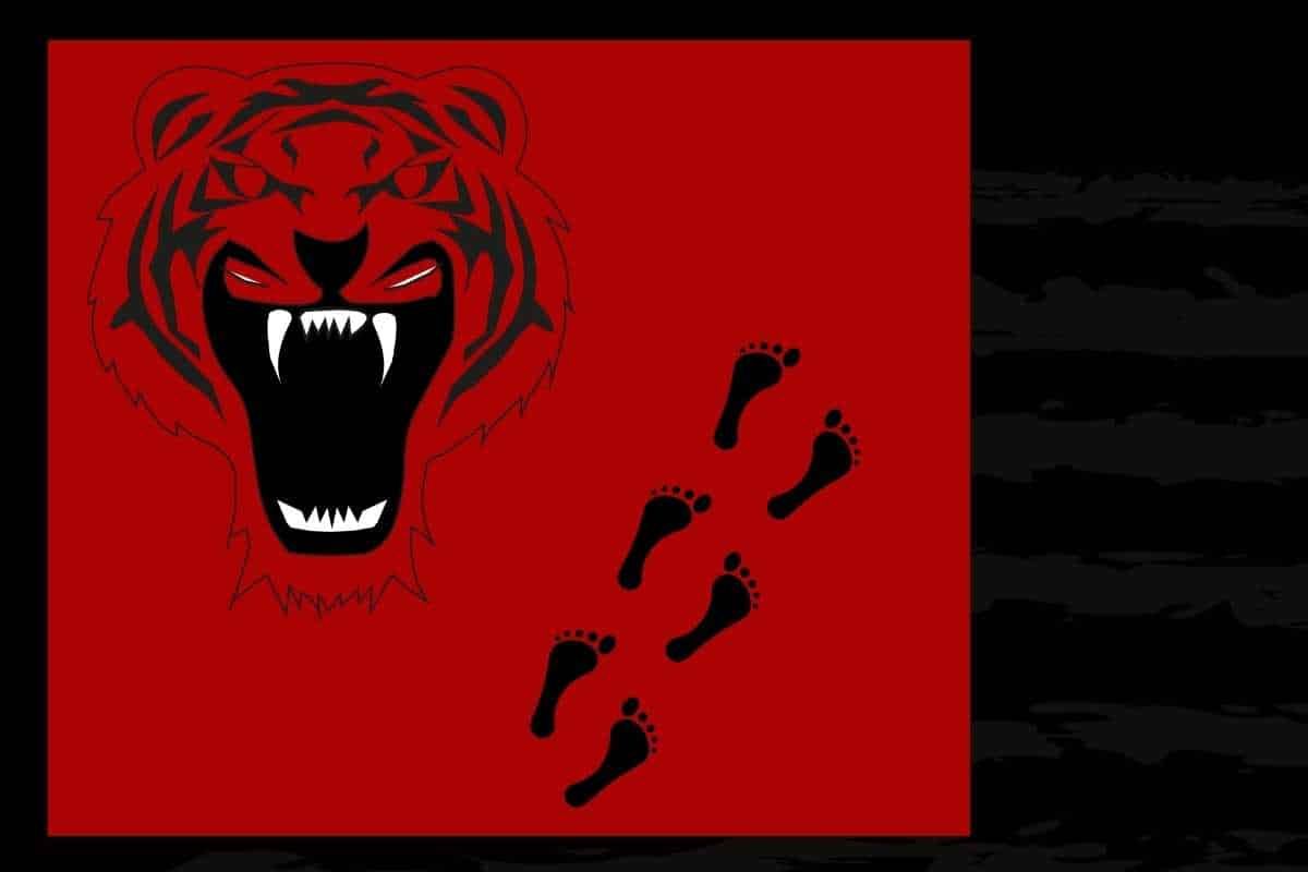 (Hu)Man vs Wild : Conflict of Interest