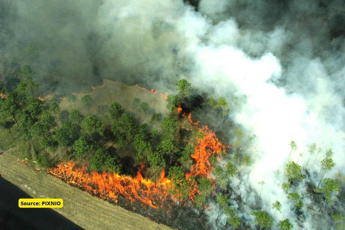 Number of wildfires forecast to rise by 14% by 2030