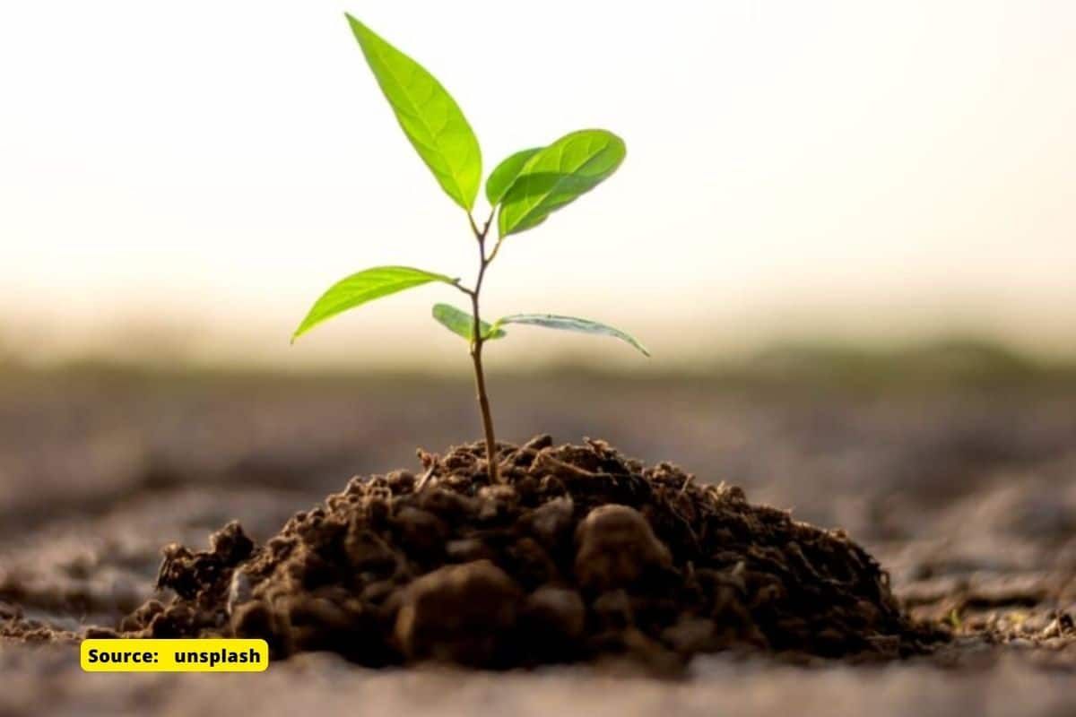 Global hotspots for soil conservation are poorly protected