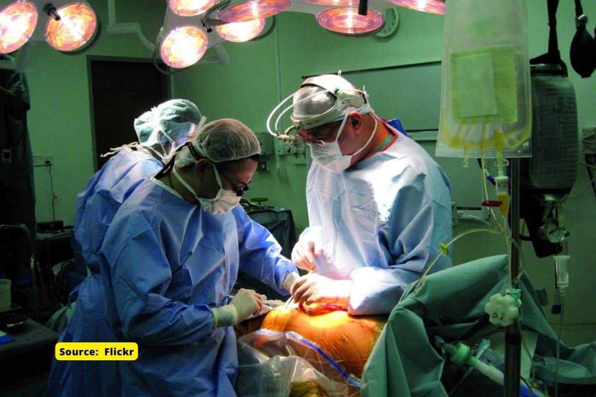 Some Donor Livers Keep Working for 100 Years: Study