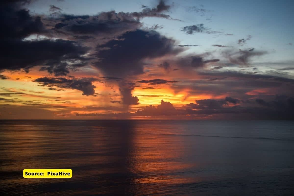 Ocean warming is doubled due to climate change: Report