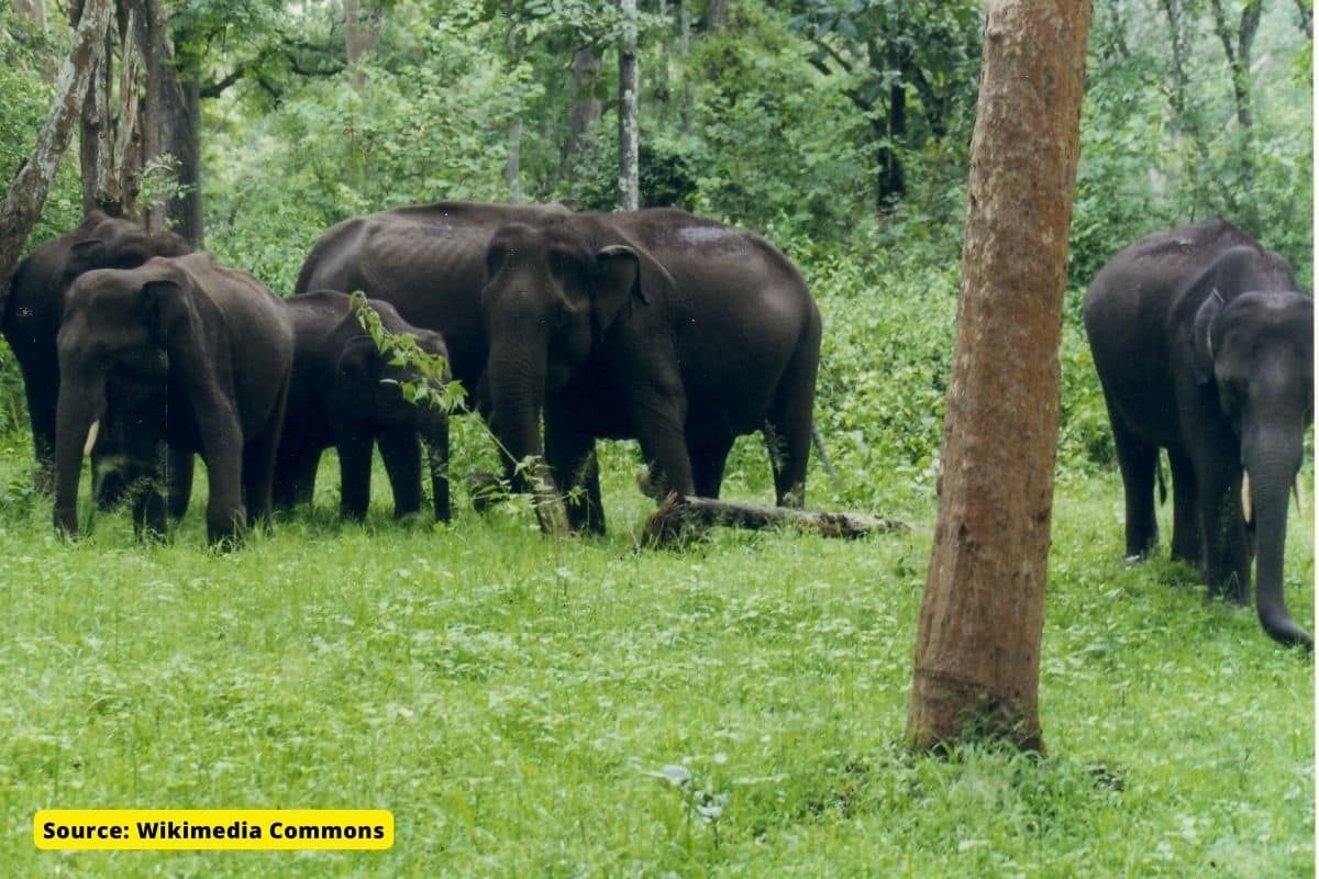 What is Barnawapara Wildlife Sanctuary’s expansion controversy?