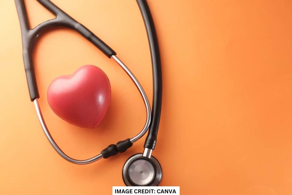Prominent feats and failures of Bella Healthcare India
