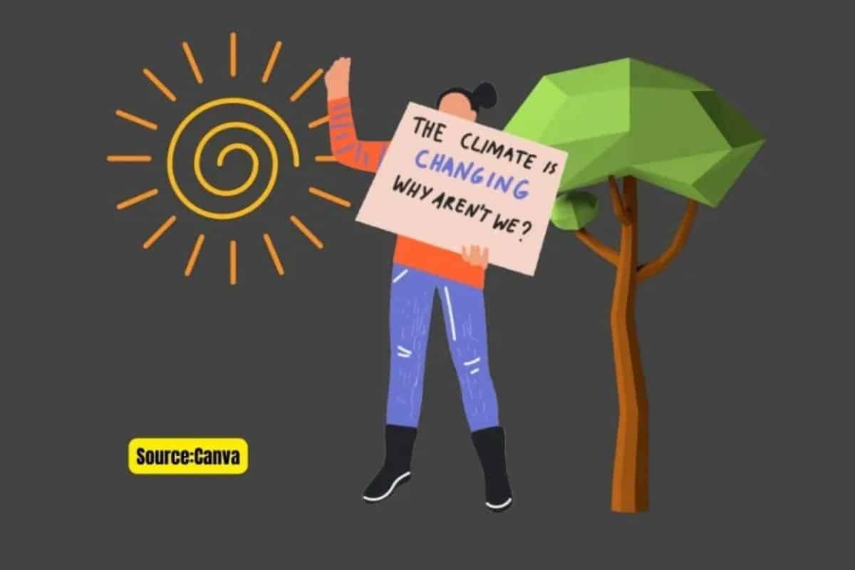 COP27: How climate change impacts countries around world