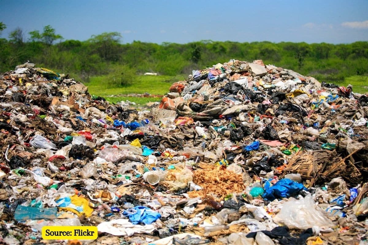 Delhi MCD spent 275 crores on Landfill sites but nothing changed