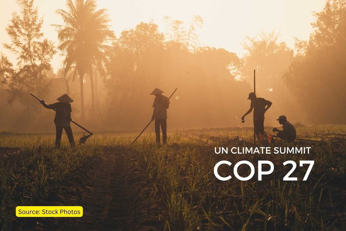 Farmers at COP27, 'Save the food system or no one will survive'