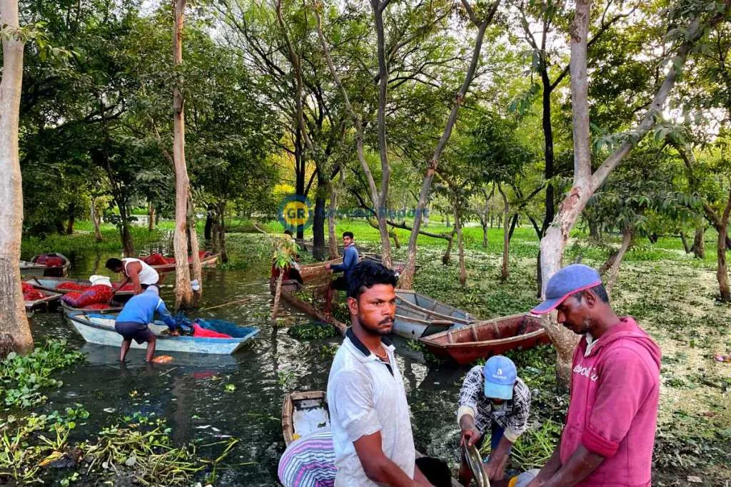 singhara kheti bhopal