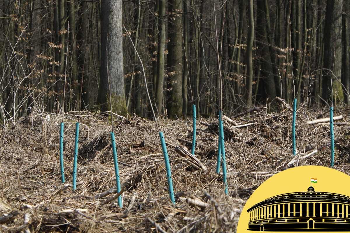 What is the Compensatory Afforestation Fund Act 2016?