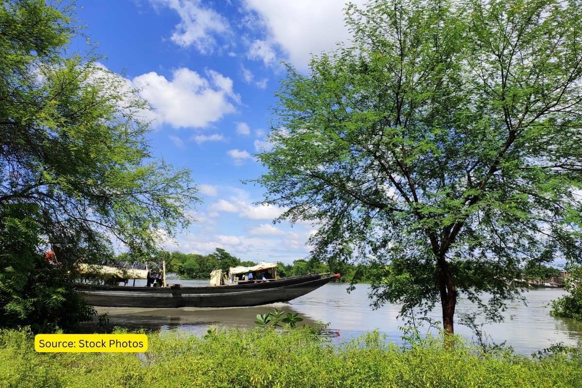 Why You Should Visit The Sundarbans National Park?