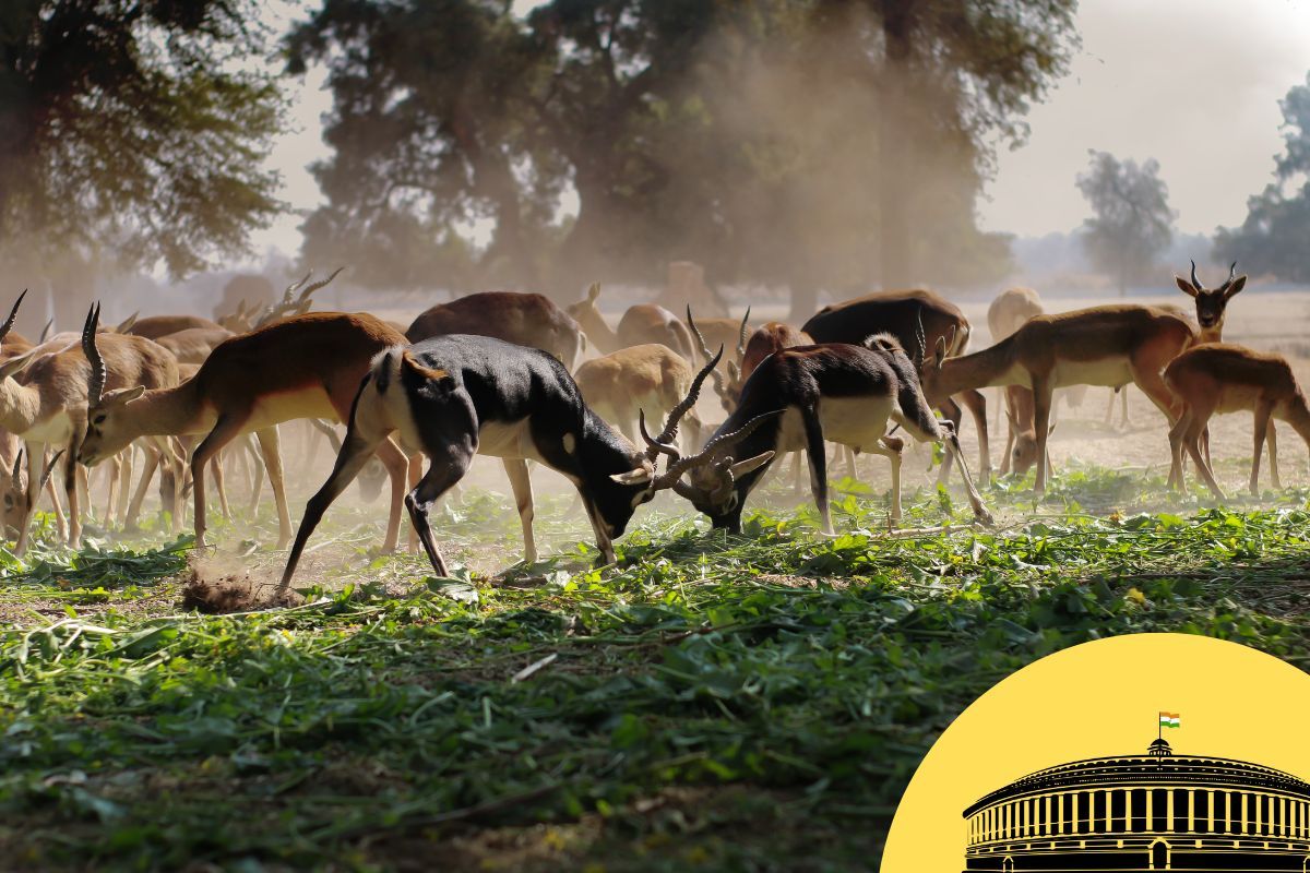The Wildlife Protection (Amendment) bill 2022, Explained!